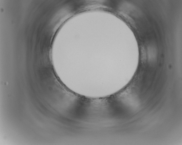 X0000079341322200612151858