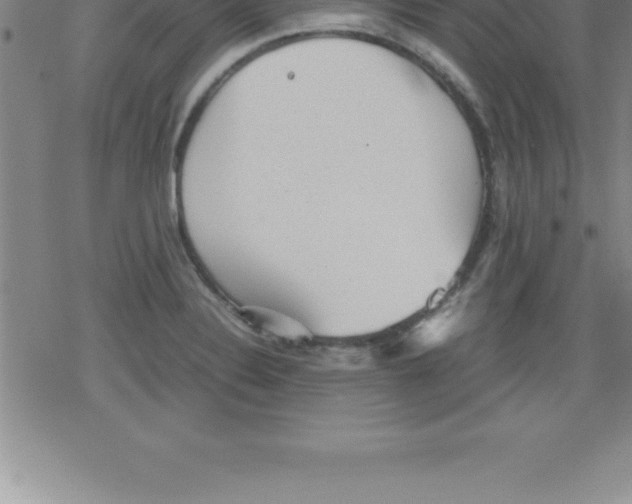 X0000079341324200612151858