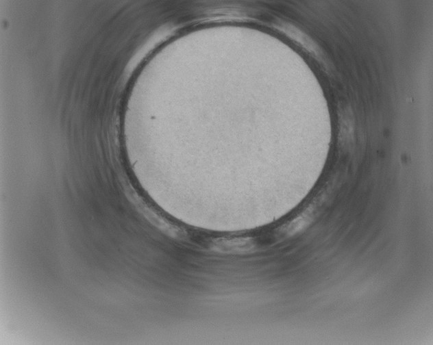 X0000079341325200612151858