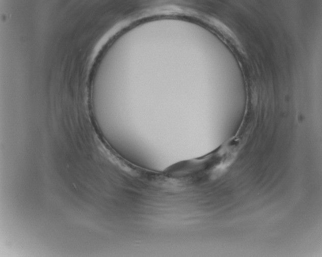 X0000079341326200612151858