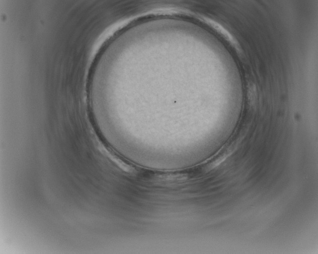 X0000079341327200612151858