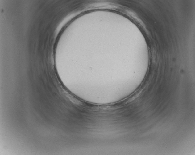 X0000079341328200612151858