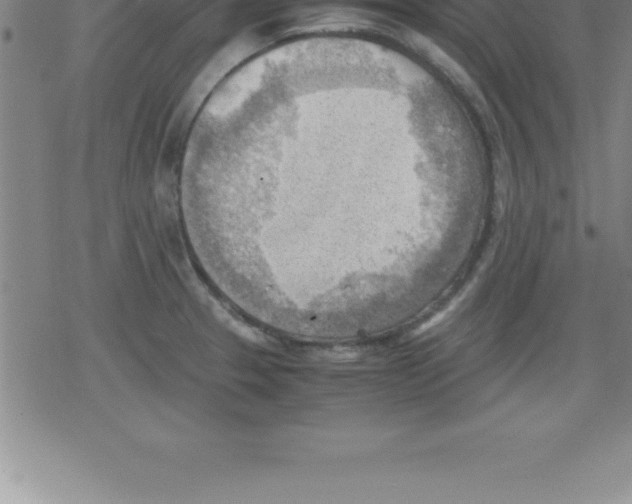 X0000079341329200612151858