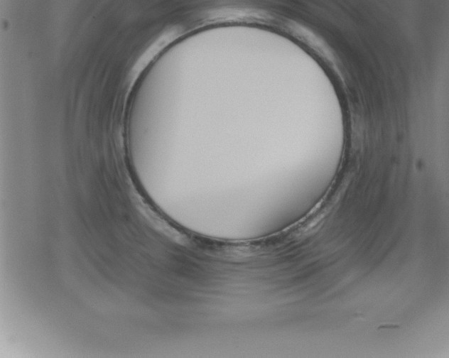 X0000079341330200612151858