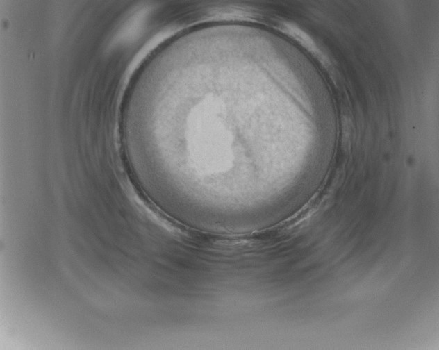 X0000079341331200612151858