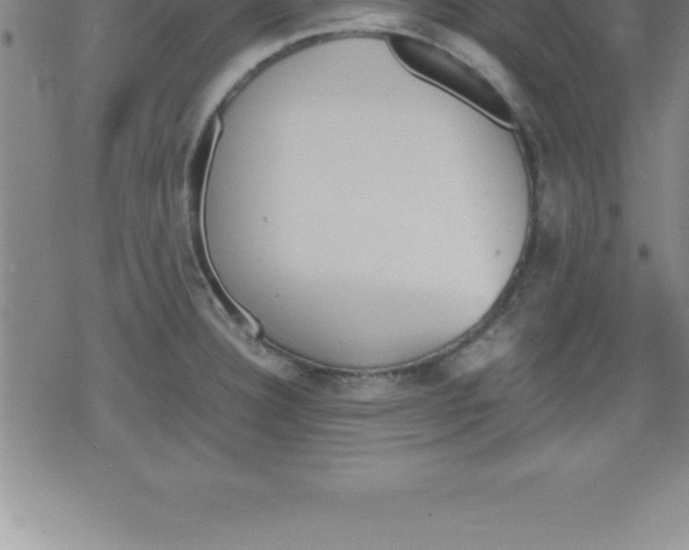 X0000079341332200612151858