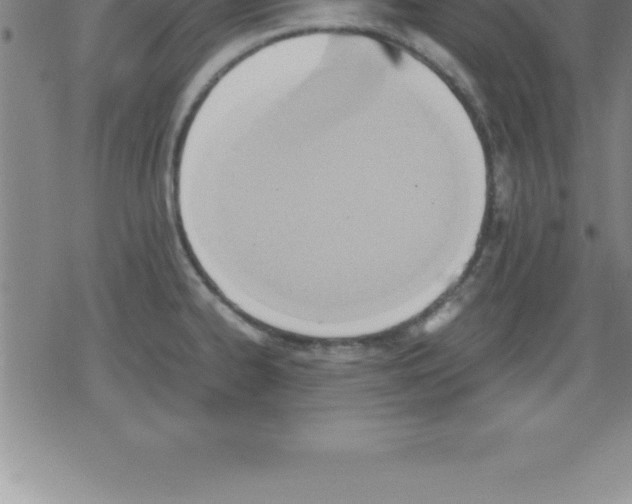 X0000079341334200612151858