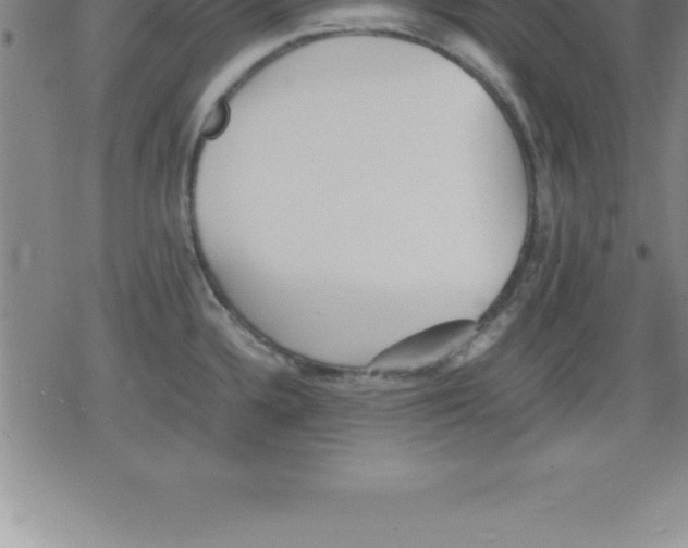 X0000079341336200612151858