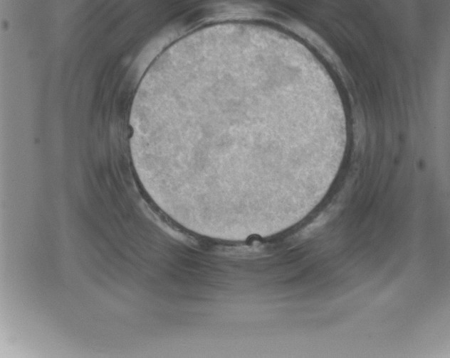 X0000079341337200612151858