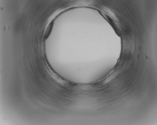 X0000079341340200612151858