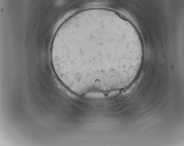 X0000079341341200612151858