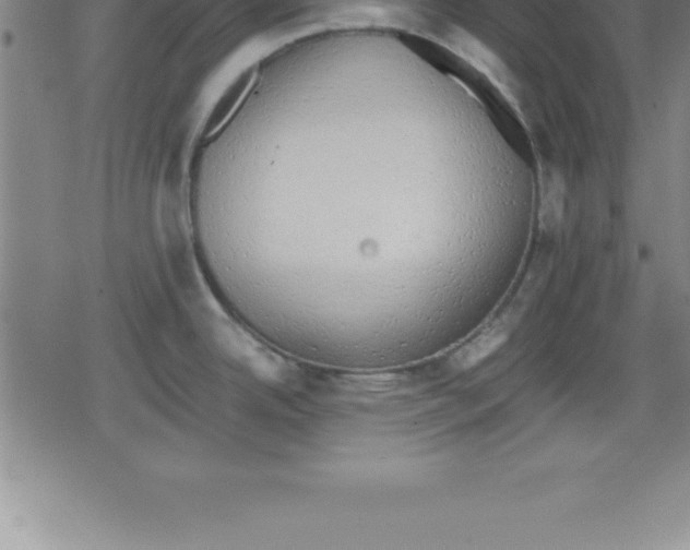 X0000079341342200612151858