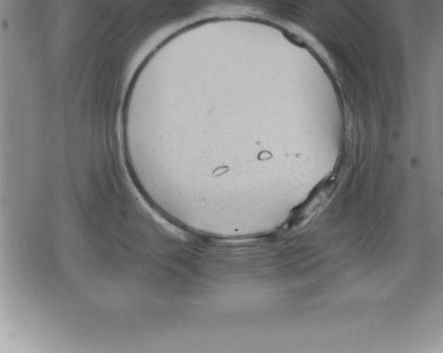 X0000079341343200612151858