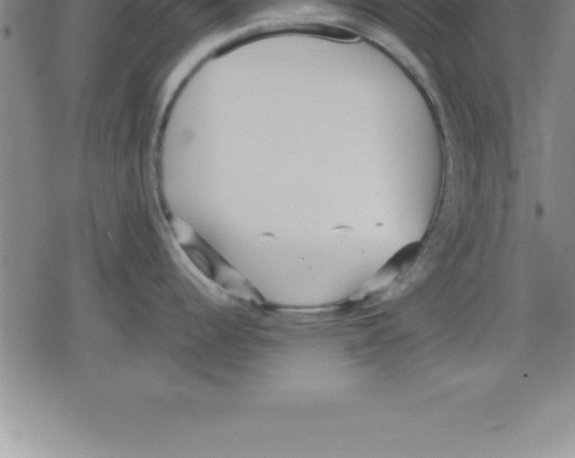 X0000079341344200612151858