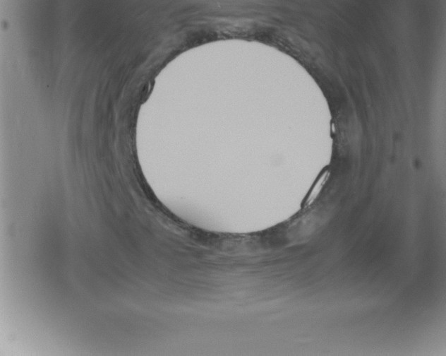 X0000079341345200612151857