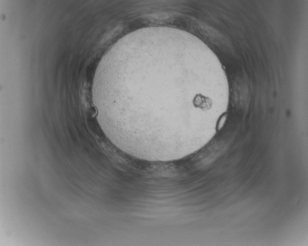 X0000079341346200612151857