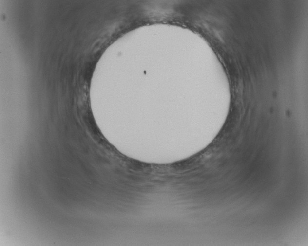 X0000079341349200612151857