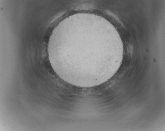 X0000079341350200612151857