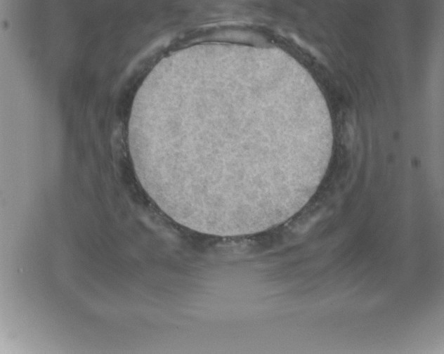 X0000079341351200612151857