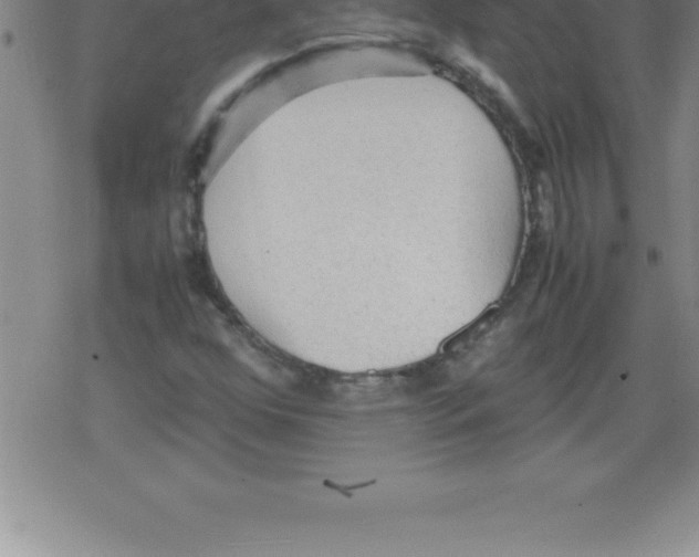 X0000079341352200612151857