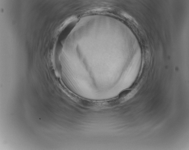 X0000079341353200612151857