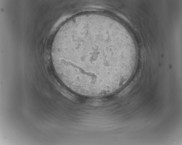 X0000079341355200612151857