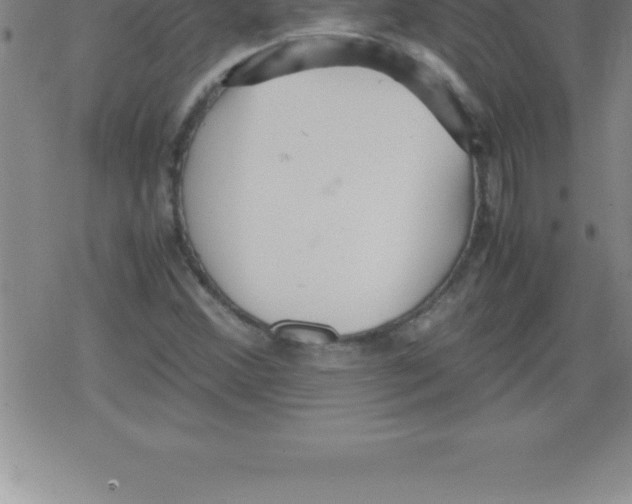 X0000079341356200612151857