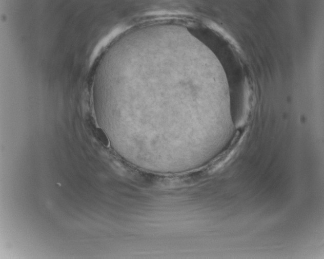 X0000079341357200612151857