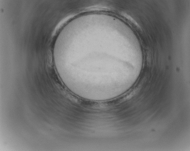 X0000079341358200612151857