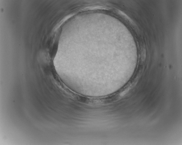 X0000079341361200612151857