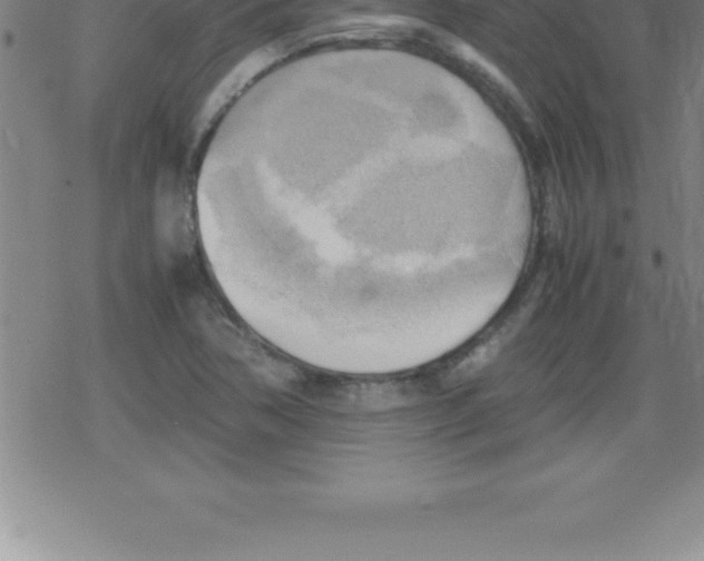 X0000079341362200612151857