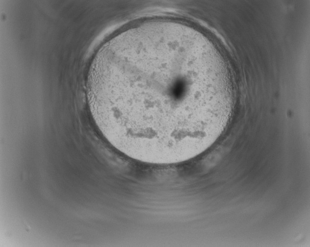 X0000079341363200612151857