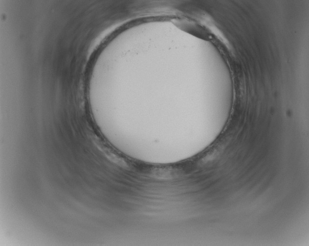 X0000079341364200612151857