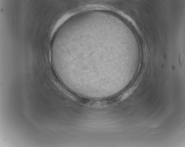 X0000079341365200612151857