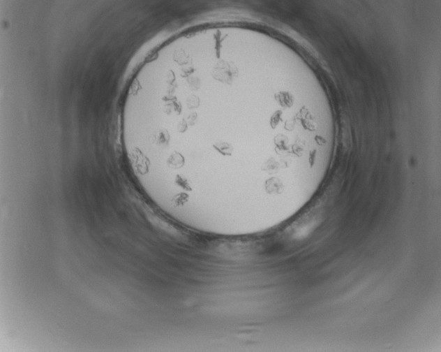 X0000079341366200612151857