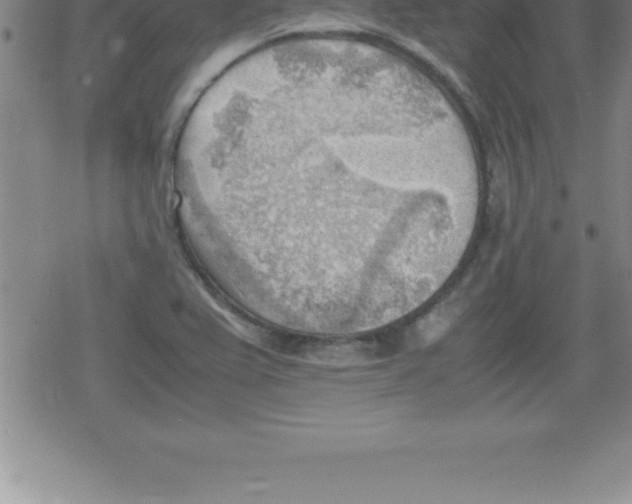 X0000079341367200612151857