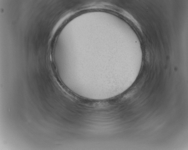 X0000079341368200612151857