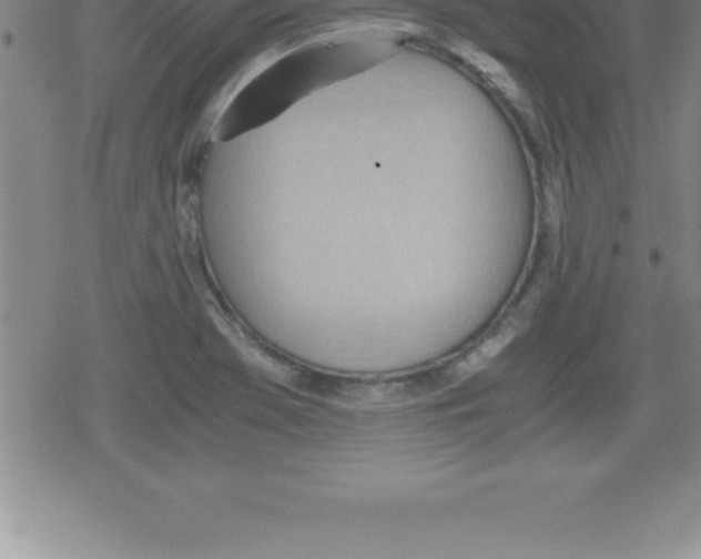 X0000079341369200612151857