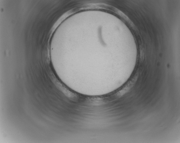 X0000079341370200612151857