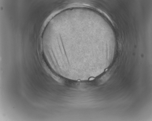 X0000079341371200612151857