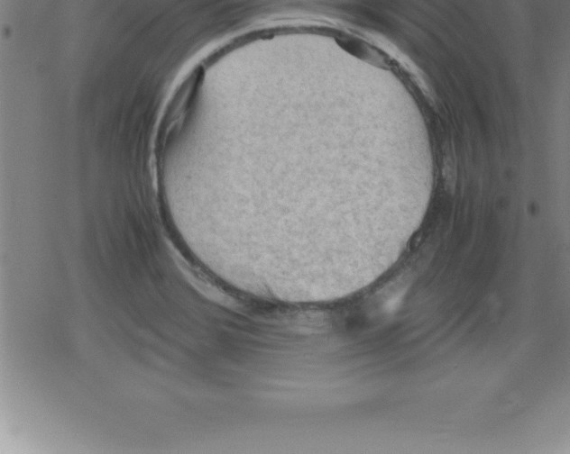 X0000079341372200612151857