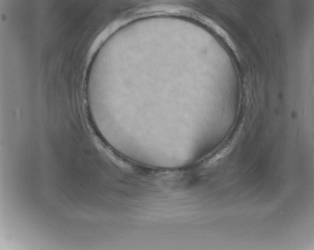 X0000079341373200612151857