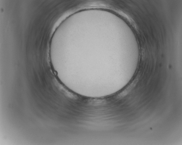 X0000079341374200612151857