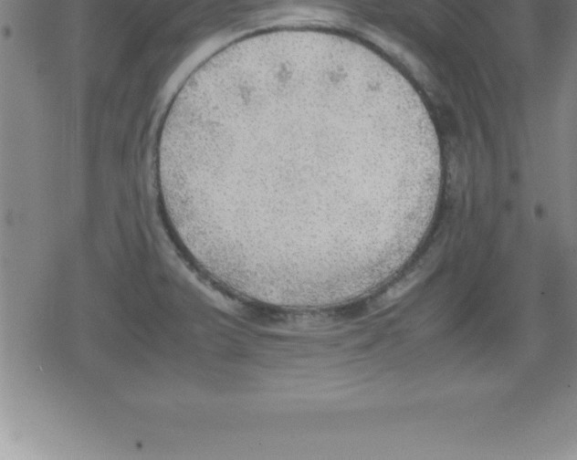 X0000079341375200612151857