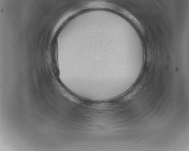 X0000079341376200612151857