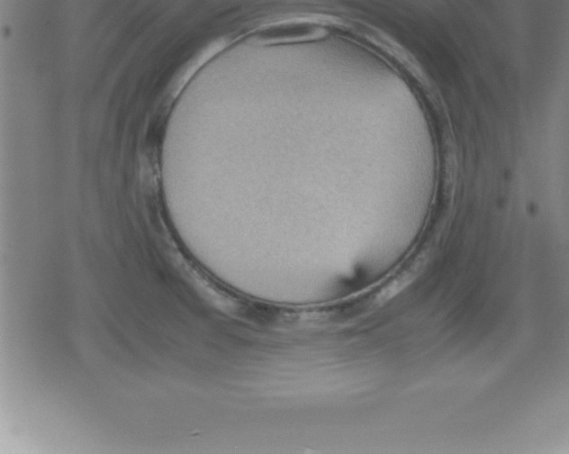 X0000079341377200612151857