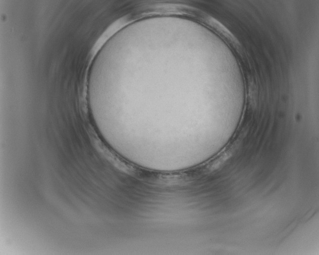 X0000079341378200612151857