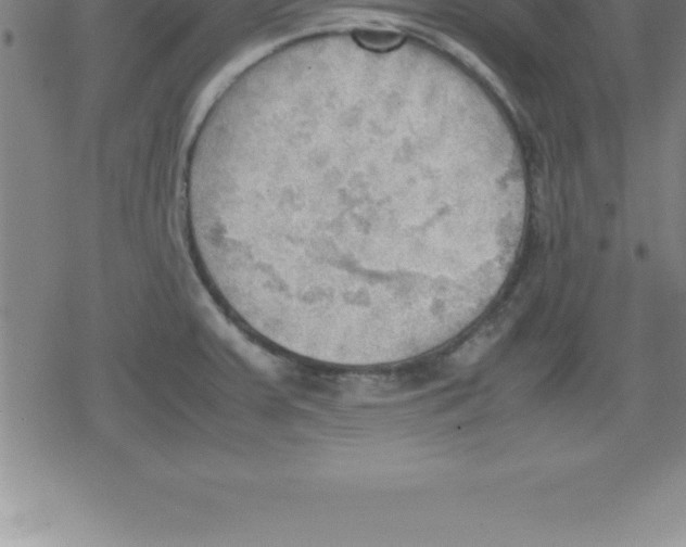 X0000079341379200612151857