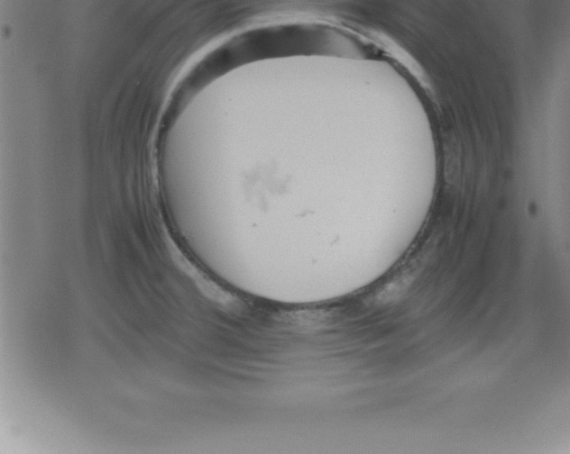 X0000079341380200612151857