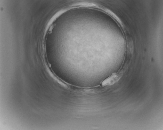 X0000079341381200612151857